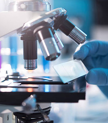 Lab